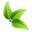 Vitadeal logo